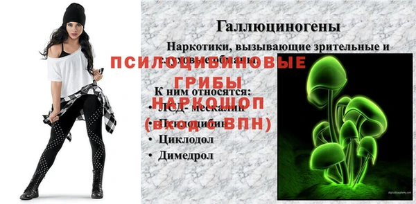 МДПВ Абаза