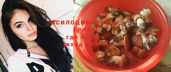 МДПВ Абаза