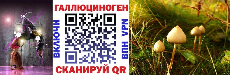 Галлюциногенные грибы MAGIC MUSHROOMS  МЕГА tor  Руза  купить закладку 